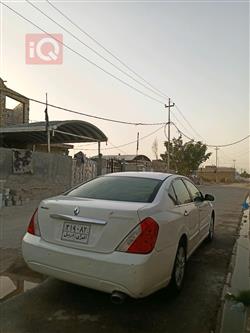 رینۆ سافران